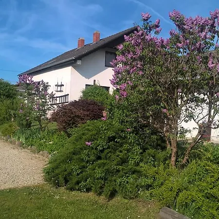 Nyirfas Надьканижа