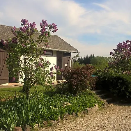 Campsite Nyirfas Nagykanizsa