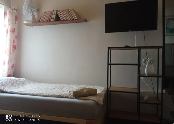 营地 Nyirfas 瑙吉考尼饶