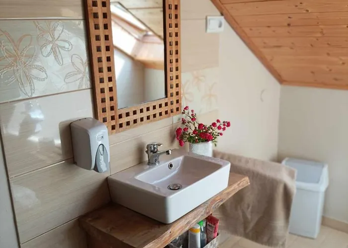 Nyirfas 3* 瑙吉考尼饶