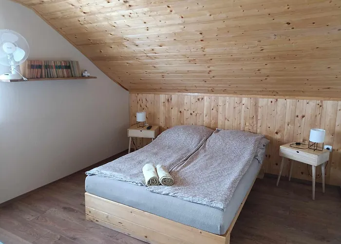 Nyirfas 3* 瑙吉考尼饶