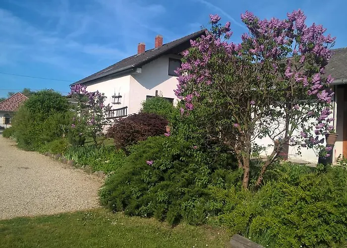 Nyirfas 瑙吉考尼饶